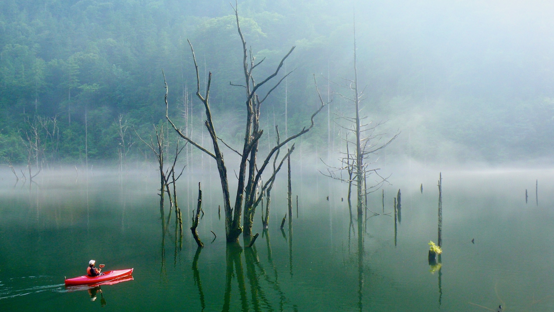 自然湖ネイチャーカヌーツアー